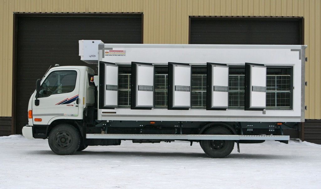 Hyundai Эвтектика