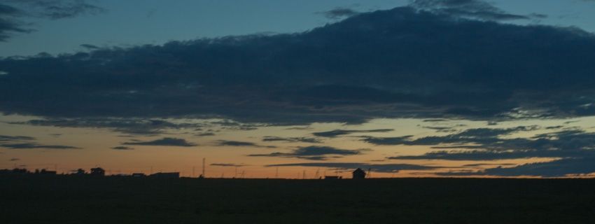 Каникулы ботаников