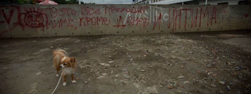 Каникулы ботаников