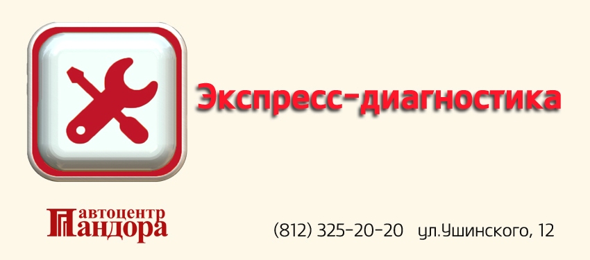 Экспресс-диагностика в автоцентре Пандора