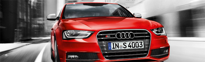 Сентябрьские сливы в Ауди Центре Таганка