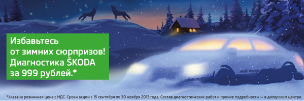 Сервисная кампания SKODA в Авто Премиум 