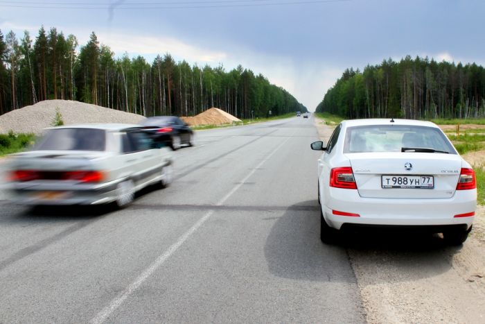 Skoda Octavia (Шкода Октавия) 2013