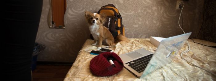 Каникулы ботаников. Смоленск-Москва