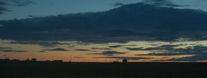 Каникулы ботаников