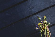 «Калина» на языке Тролля