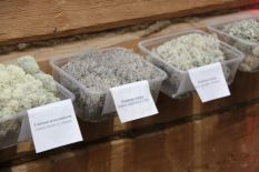 Автоквест Skoda Auto Карельские Камни. Кирьяж