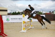 Кубок «ПЕЛИКАН-АВТО» по конкуру