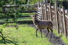 Фото Кирилла Уютнова
