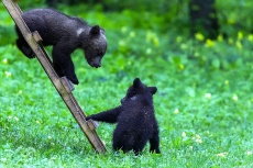 Фото Кирилла Уютнова Фото Кирилла Уютнова