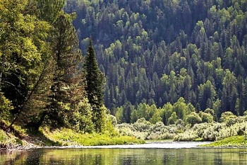 В Иркутске завершился автопробег «Заповедный пояс. От Урала до Байкала» В Иркутске завершился автопробег «Заповедный пояс. От Урала до Байкала»