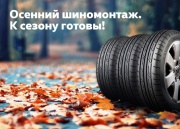 Выгодный шиномонтаж в дилерских центрах WAGNER. И к сезону готов!