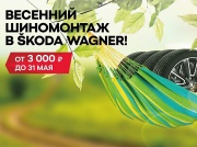 Официальные дилеры SKODA Wagner обеспечат выгодный весенний сервис!