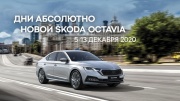 Дни открытых дверей новой SKODA OCTAVIA в Сигма 