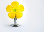 Весенний сервис в Тойота Центр Невский